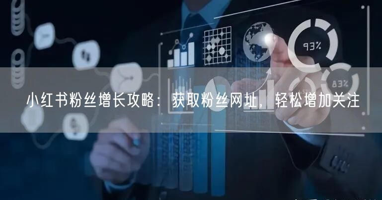 小红书粉丝增长攻略：获取粉丝网址，轻松增加关注
