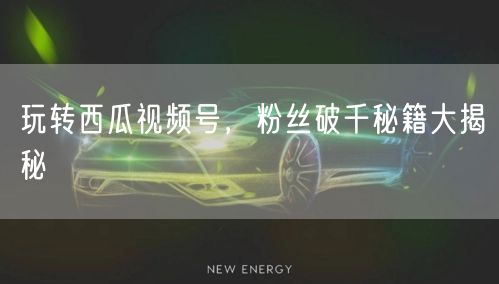 玩转西瓜视频号，粉丝破千秘籍大揭秘