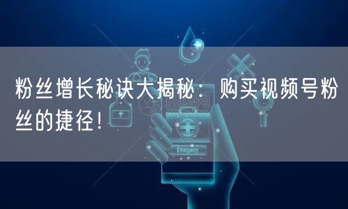 粉丝增长秘诀大揭秘：购买视频号粉丝的捷径！