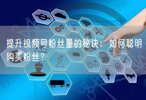 提升视频号粉丝量的秘诀：如何聪明购买粉丝？