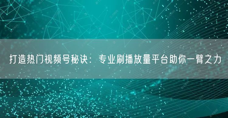 打造热门视频号秘诀：专业刷播放量平台助你一臂之力