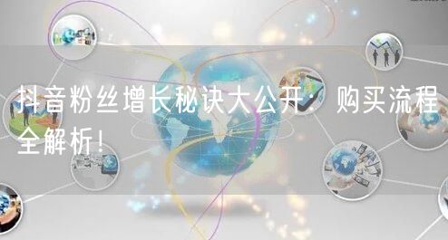 抖音粉丝增长秘诀大公开：购买流程全解析！