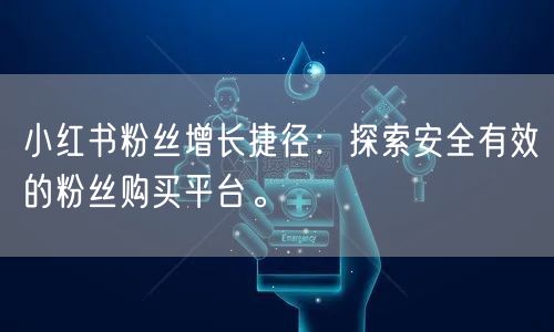 小红书粉丝增长捷径：探索安全有效的粉丝购买平台。