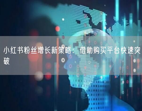 小红书粉丝增长新策略：借助购买平台快速突破