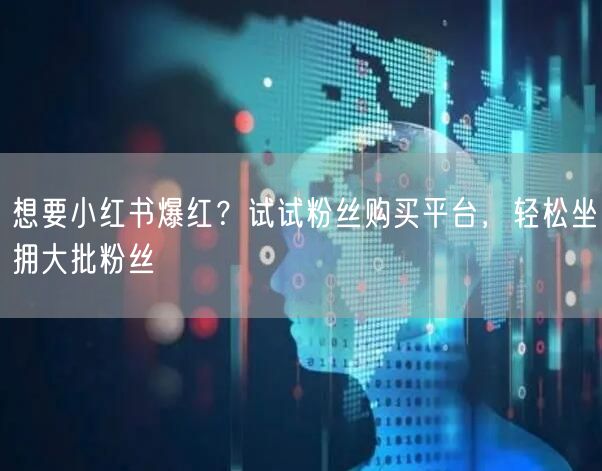 想要小红书爆红？试试粉丝购买平台，轻松坐拥大批粉丝