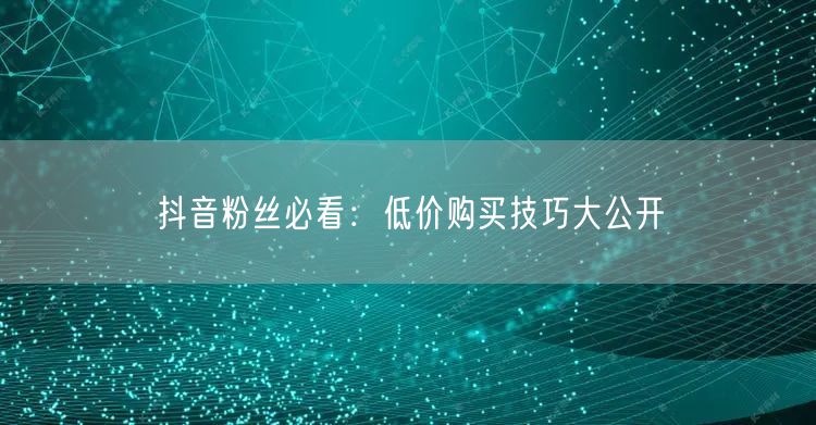 抖音粉丝必看：低价购买技巧大公开