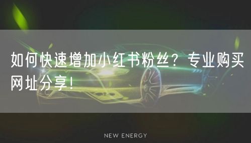 如何快速增加小红书粉丝？专业购买网址分享！