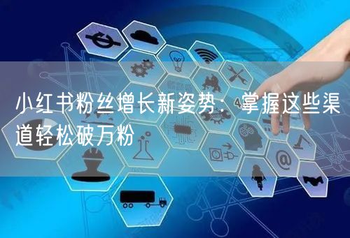 小红书粉丝增长新姿势：掌握这些渠道轻松破万粉
