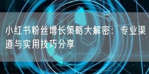 小红书粉丝增长策略大解密：专业渠道与实用技巧分享
