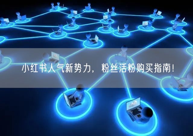 小红书人气新势力，粉丝活粉购买指南！