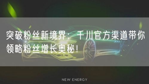 突破粉丝新境界：千川官方渠道带你领略粉丝增长奥秘！