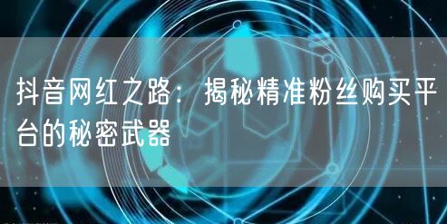 抖音网红之路：揭秘精准粉丝购买平台的秘密武器