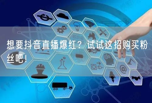 想要抖音直播爆红？试试这招购买粉丝吧！