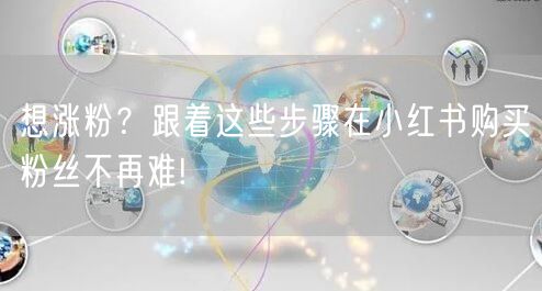 想涨粉？跟着这些步骤在小红书购买粉丝不再难!