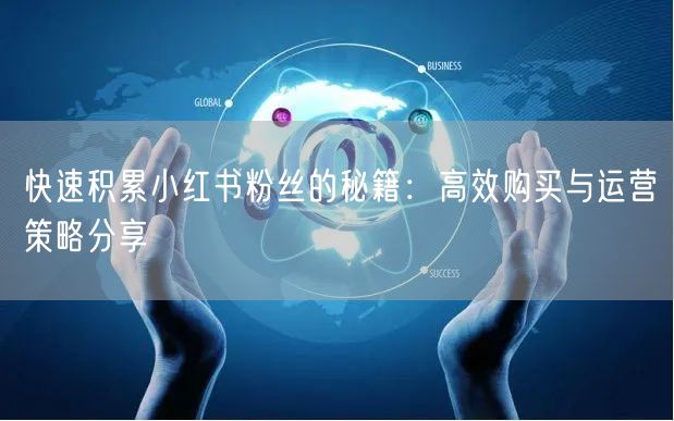 快速积累小红书粉丝的秘籍：高效购买与运营策略分享