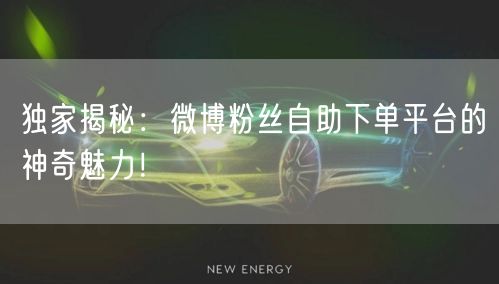 独家揭秘：微博粉丝自助下单平台的神奇魅力！