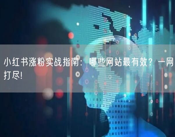 小红书涨粉实战指南：哪些网站最有效？一网打尽!