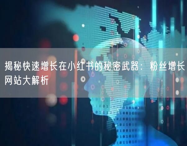 揭秘快速增长在小红书的秘密武器：粉丝增长网站大解析