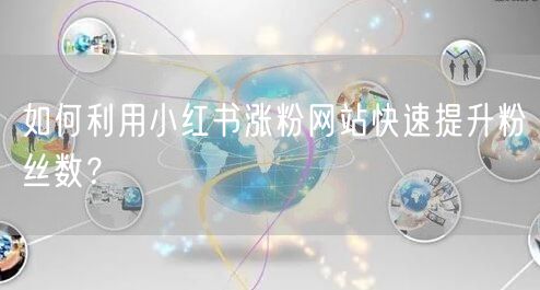 如何利用小红书涨粉网站快速提升粉丝数？