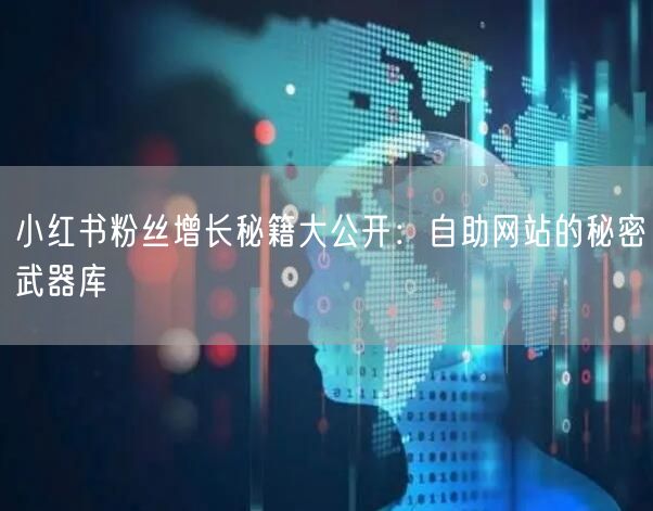 小红书粉丝增长秘籍大公开：自助网站的秘密武器库