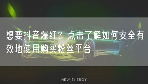 想要抖音爆红？点击了解如何安全有效地使用购买粉丝平台