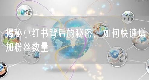 揭秘小红书背后的秘密，如何快速增加粉丝数量