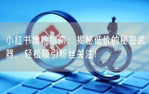 小红书增粉指南：揭秘低价的秘密武器，轻松吸引粉丝关注！