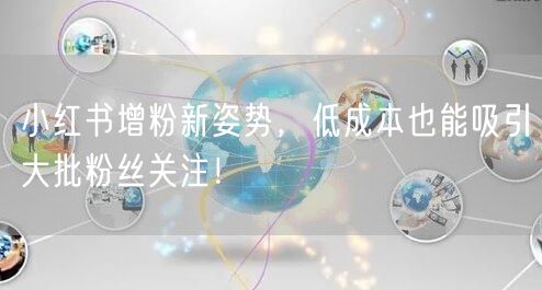 小红书增粉新姿势，低成本也能吸引大批粉丝关注！