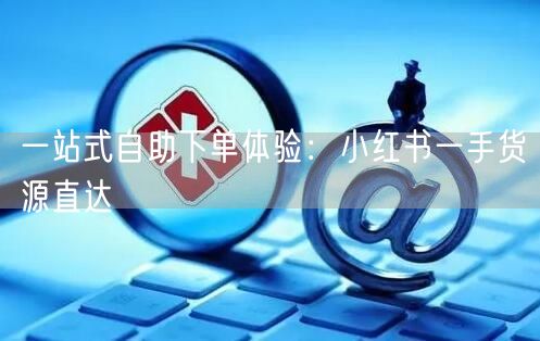 一站式自助下单体验：小红书一手货源直达