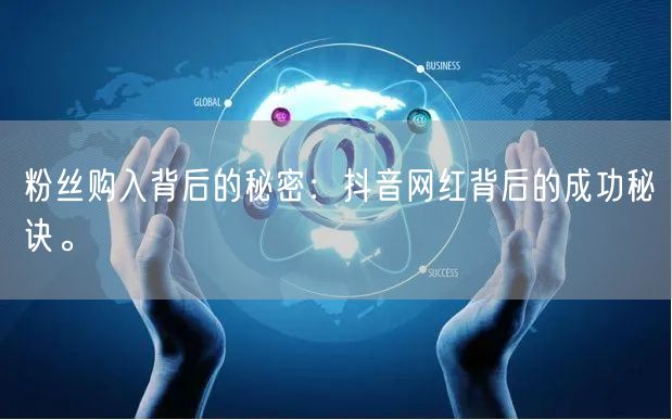 粉丝购入背后的秘密：抖音网红背后的成功秘诀。