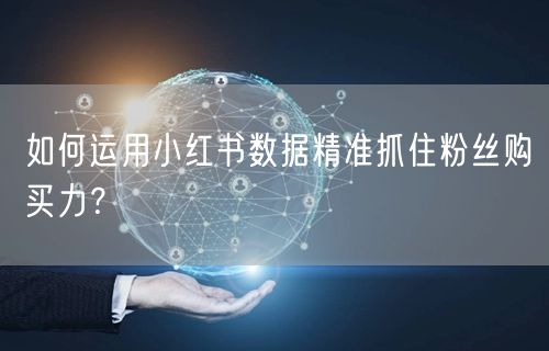 如何运用小红书数据精准抓住粉丝购买力？