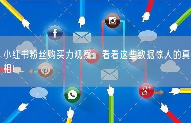 小红书粉丝购买力观察：看看这些数据惊人的真相！