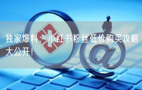 独家爆料：小红书粉丝低价购买攻略大公开！
