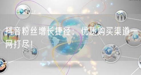 抖音粉丝增长捷径：优质购买渠道一网打尽！