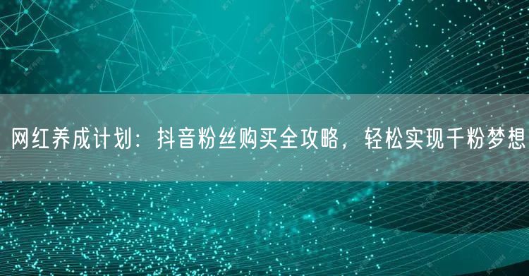 网红养成计划：抖音粉丝购买全攻略，轻松实现千粉梦想