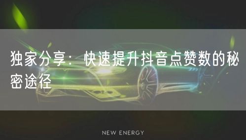 独家分享：快速提升抖音点赞数的秘密途径