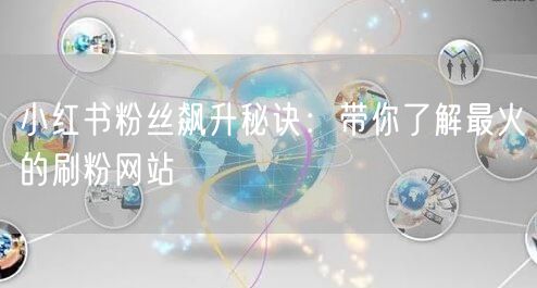 小红书粉丝飙升秘诀：带你了解最火的刷粉网站
