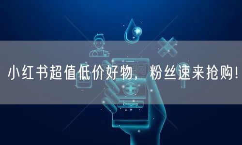 小红书超值低价好物，粉丝速来抢购！