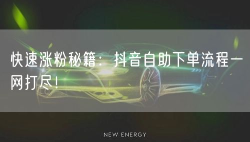 快速涨粉秘籍：抖音自助下单流程一网打尽！