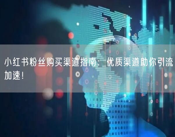 小红书粉丝购买渠道指南：优质渠道助你引流加速！
