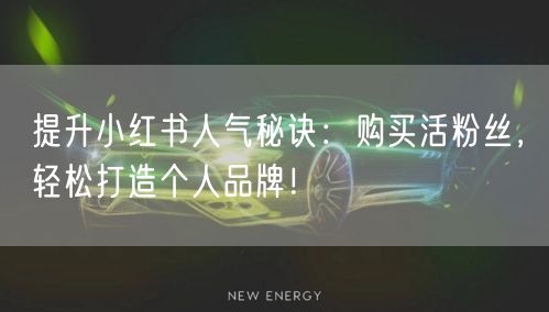提升小红书人气秘诀：购买活粉丝，轻松打造个人品牌！