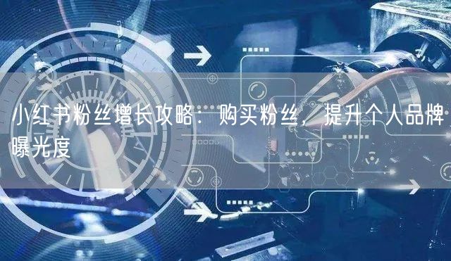 小红书粉丝增长攻略：购买粉丝，提升个人品牌曝光度