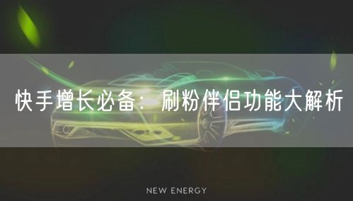 快手增长必备：刷粉伴侣功能大解析