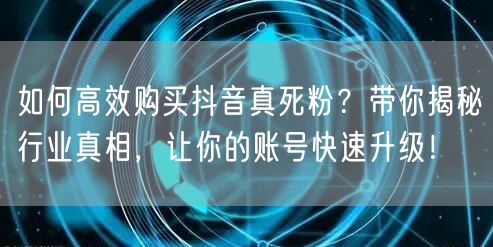 如何高效购买抖音真死粉?带你揭秘行业真相,让你的账号快速升级!