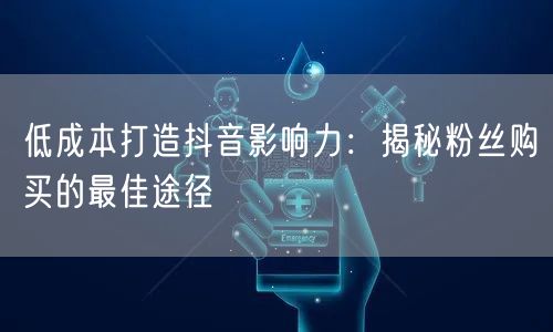 低成本打造抖音影响力:揭秘粉丝购买的最佳途径